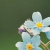 Illustration du profil de Happiness