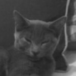 Photo de profil